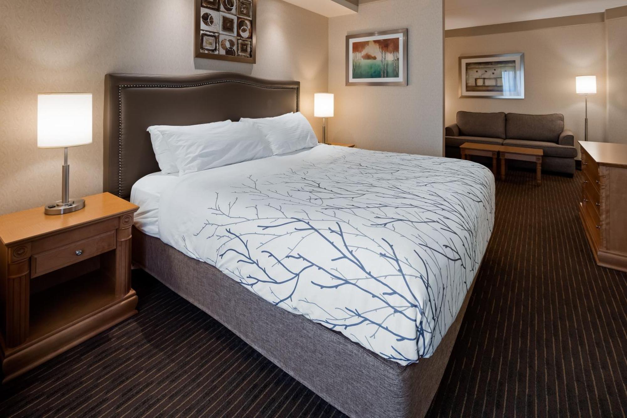 Waterloo Suites Hotel, Trademark Collection By Wyndham Экстерьер фото